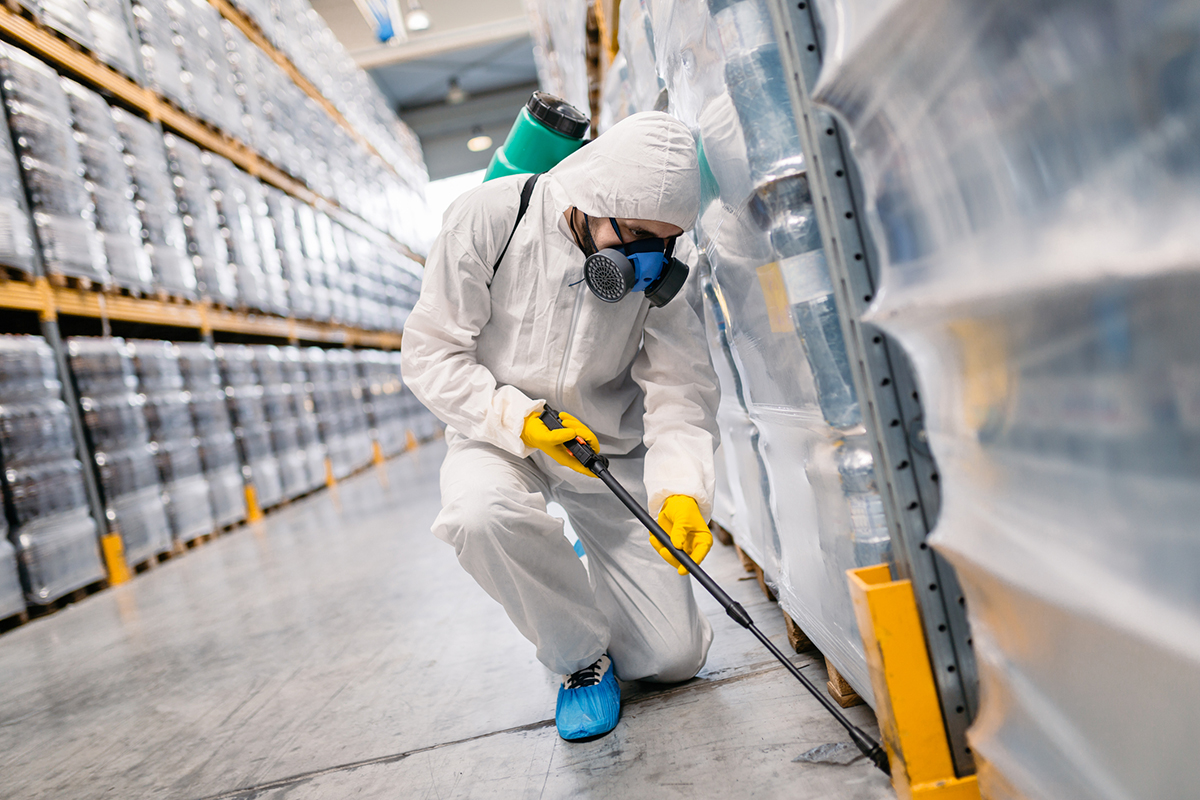 Integrated pest management inspection